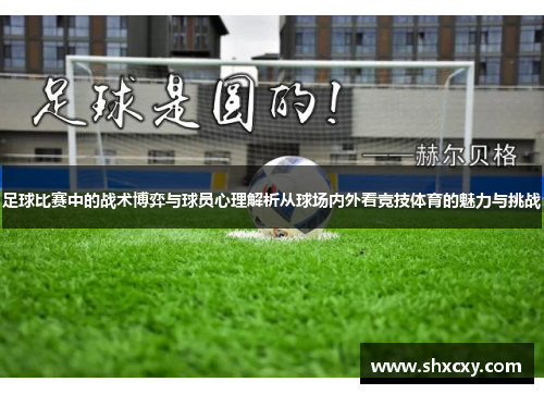 足球比赛中的战术博弈与球员心理解析从球场内外看竞技体育的魅力与挑战